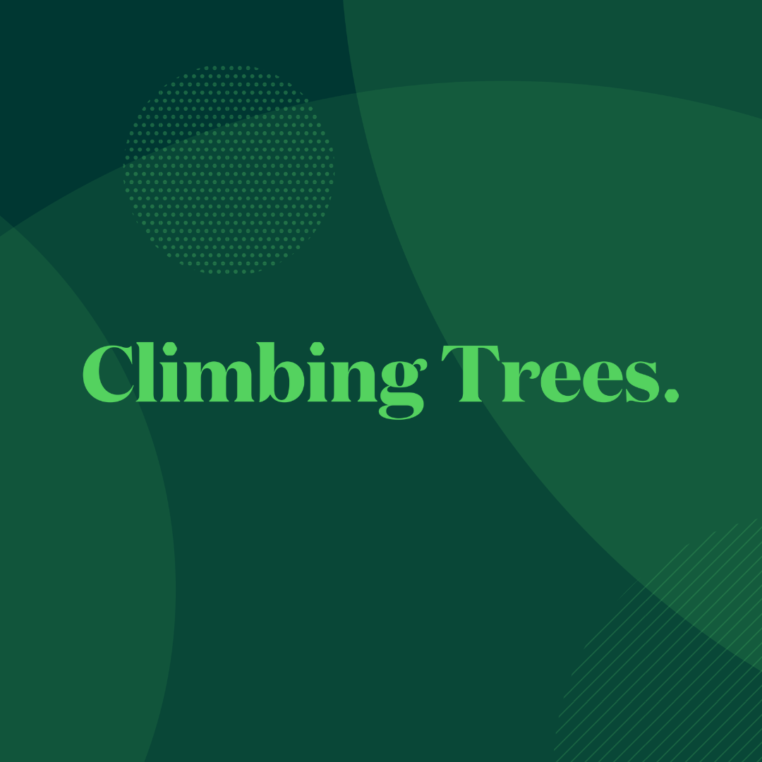 Latest jobs at Climbing Trees Escape the City